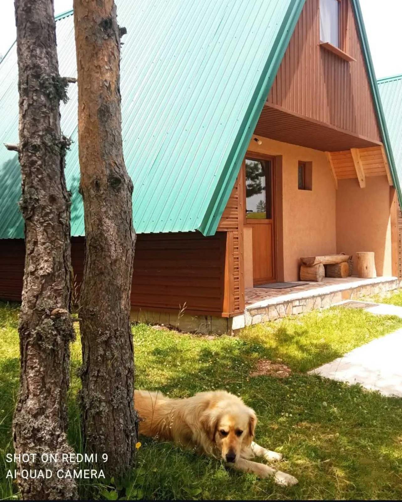 Vikendice Smolovic Villa Zabljak  Ngoại thất bức ảnh