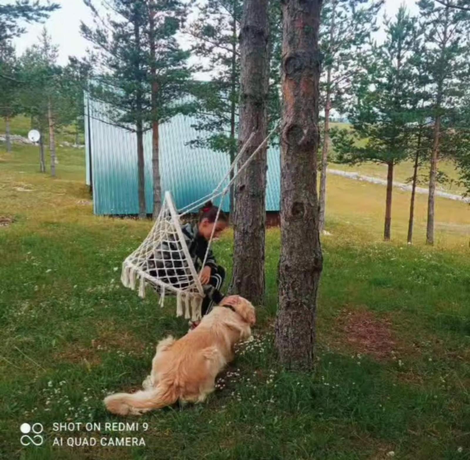 Vikendice Smolovic Villa Zabljak  Ngoại thất bức ảnh